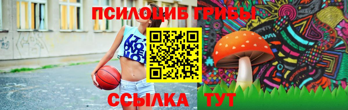 Сердобск  Галлюциногенные грибы мицелий  Вход с VPN 